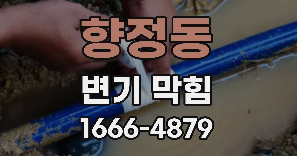 향정동 변기 막힘
