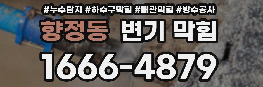향정동 변기 막힘