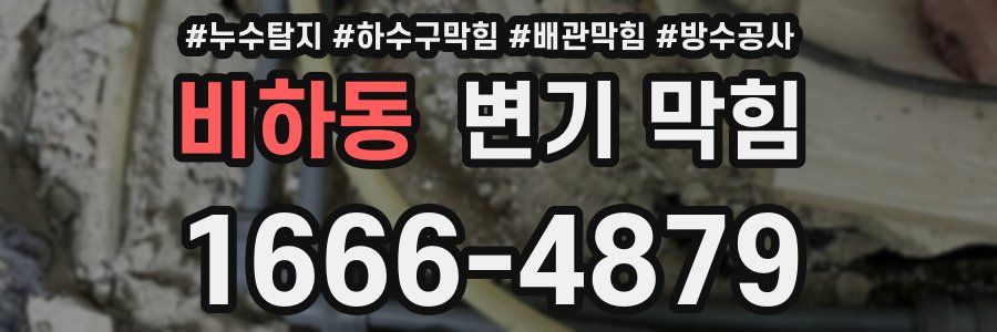 비하동 변기 막힘