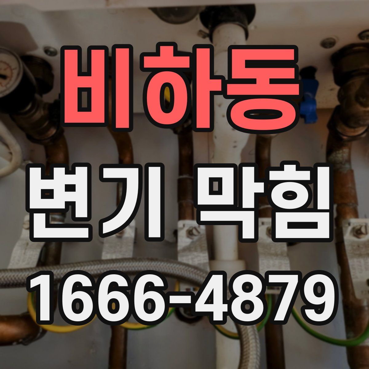 비하동 변기 막힘