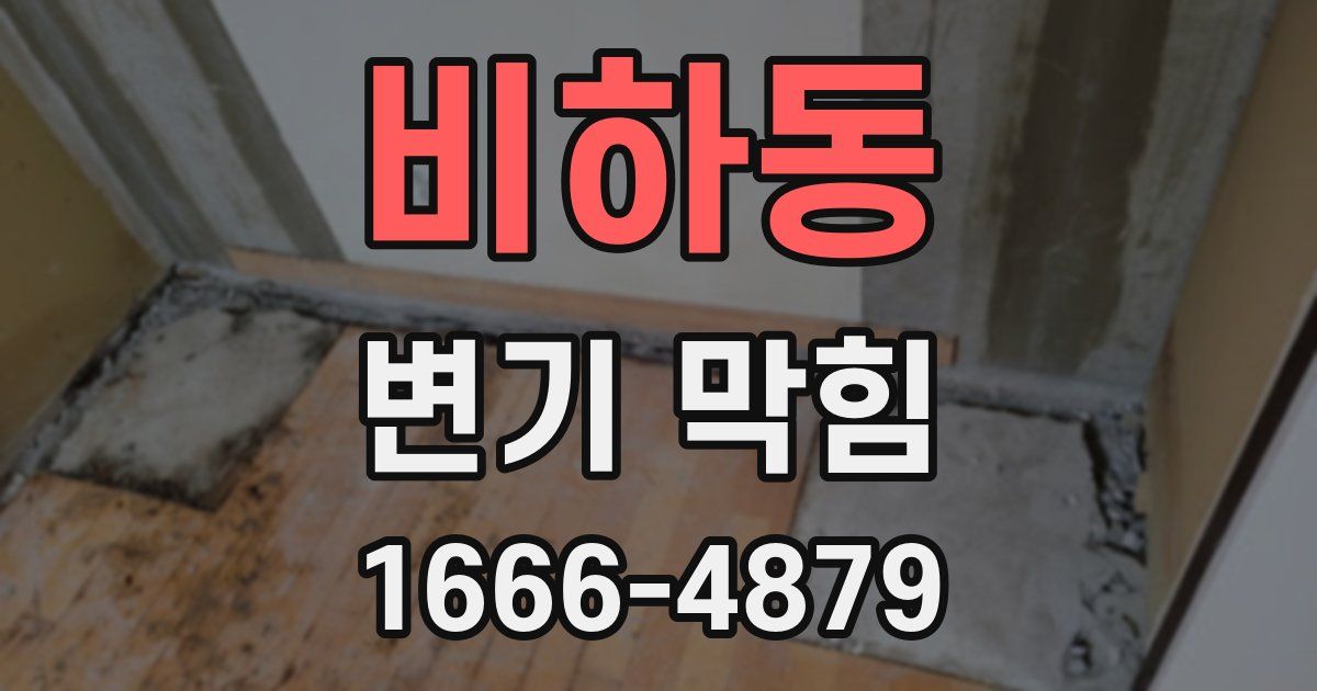 비하동 변기 막힘