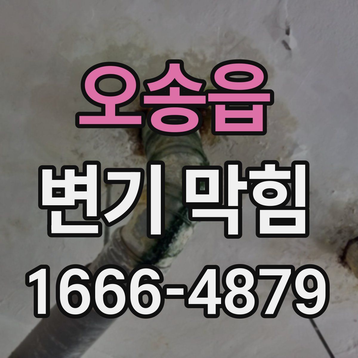 오송읍 변기 막힘