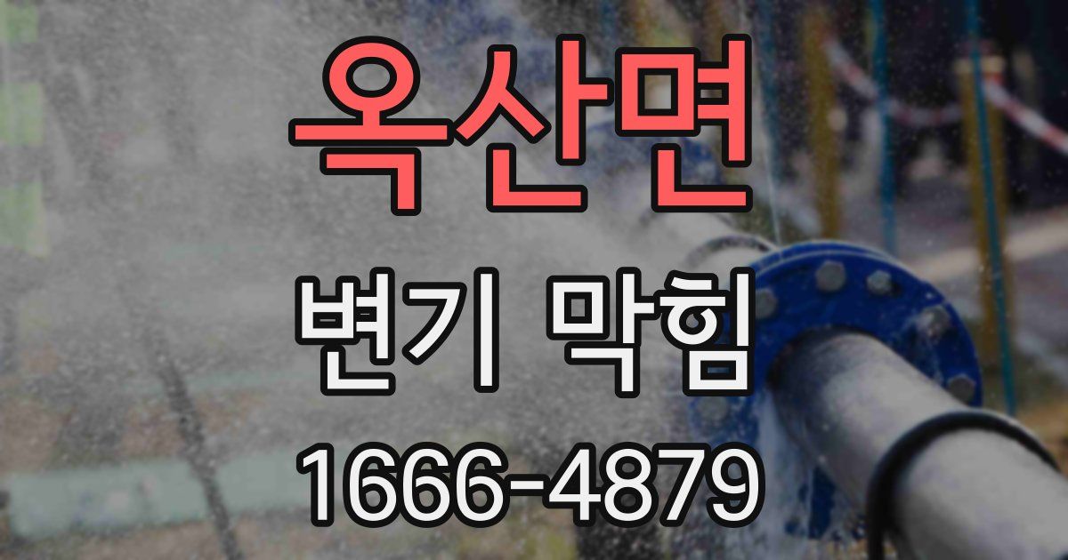 옥산면 변기 막힘