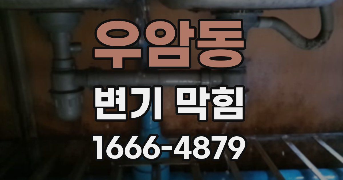 우암동 변기 막힘