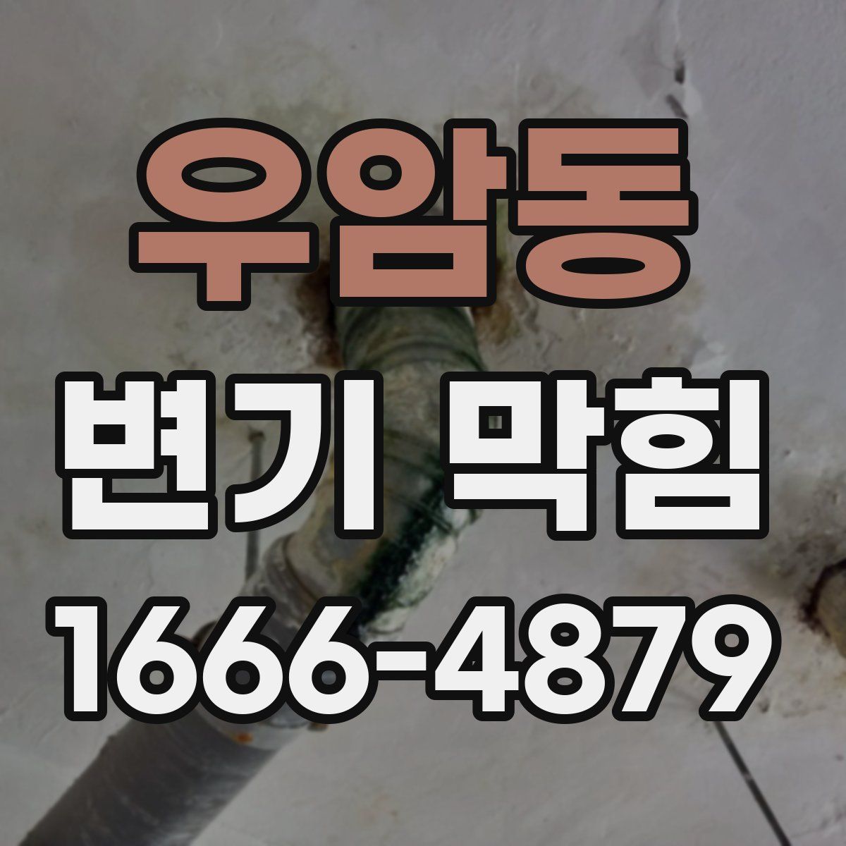 우암동 변기 막힘