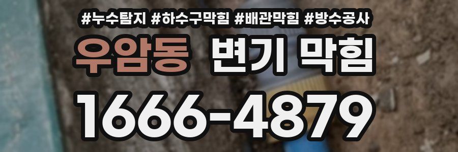 우암동 변기 막힘
