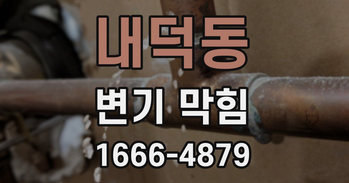 내덕동 변기 막힘