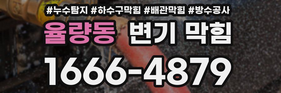 율량동 변기 막힘