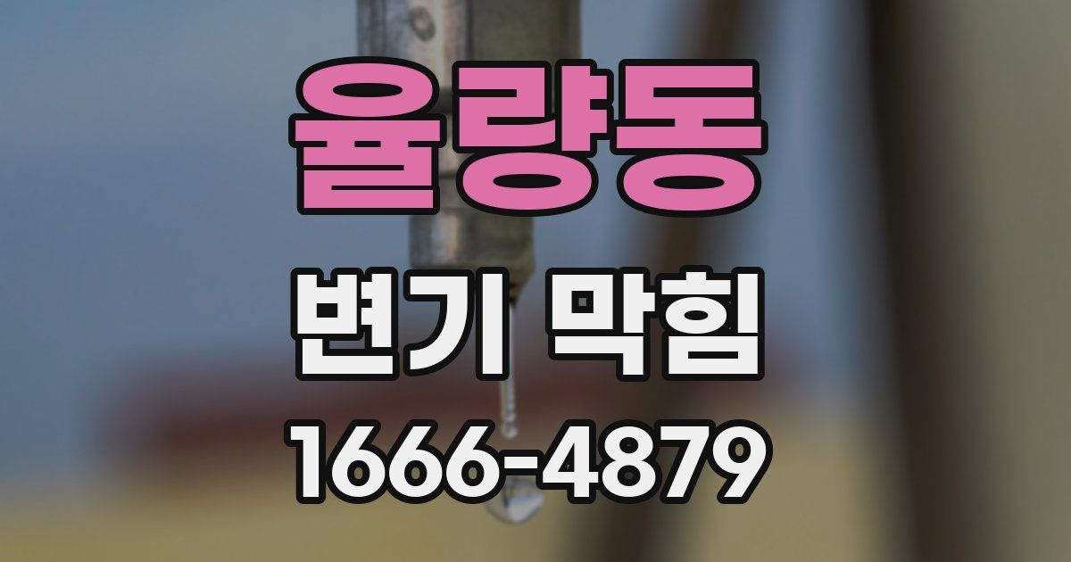 율량동 변기 막힘
