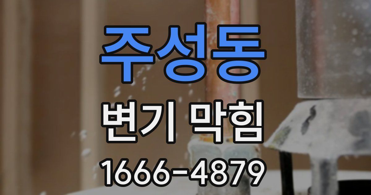 주성동 변기 막힘