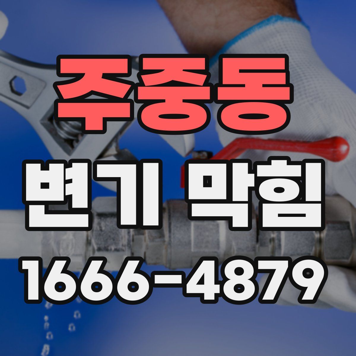 주중동 변기 막힘