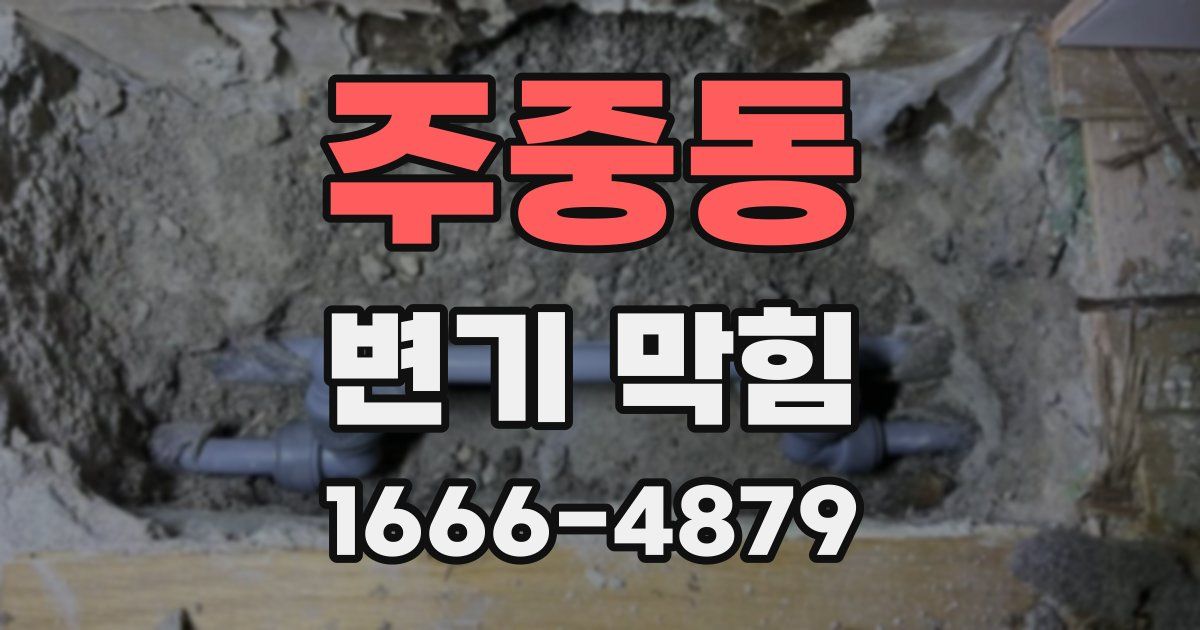 주중동 변기 막힘