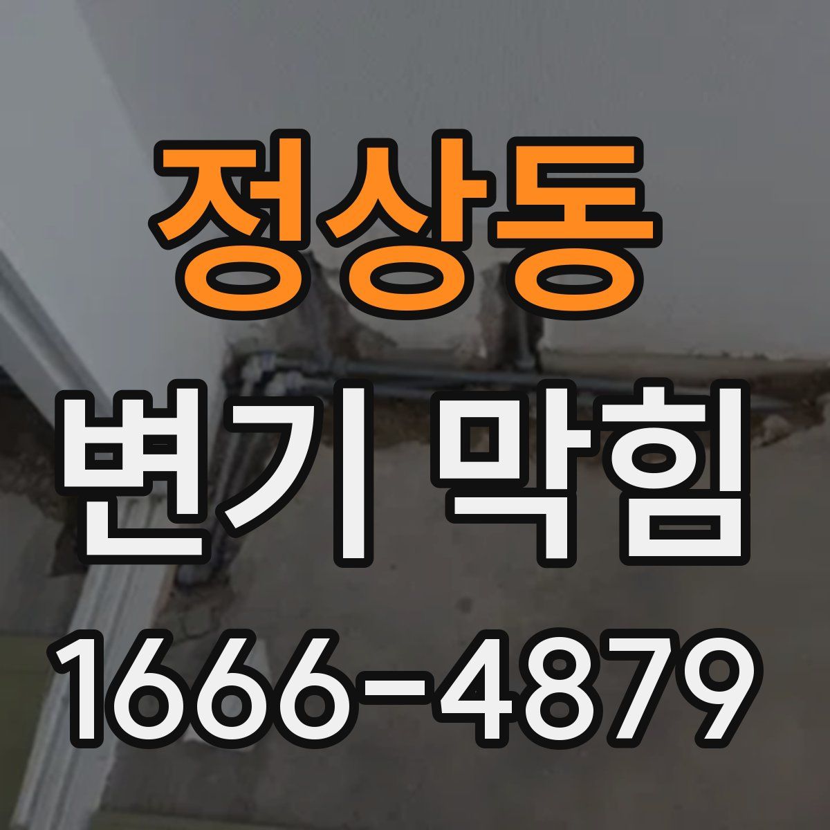 정상동 변기 막힘