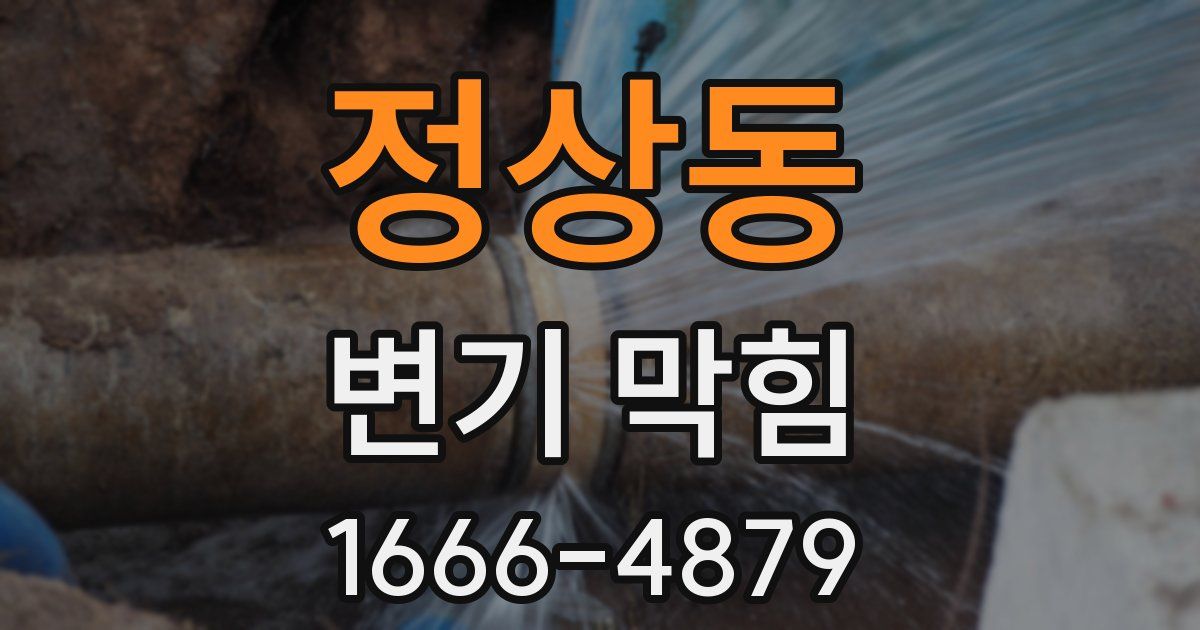 정상동 변기 막힘