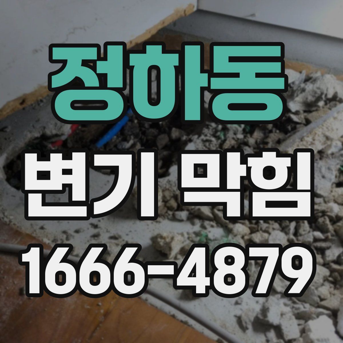 정하동 변기 막힘