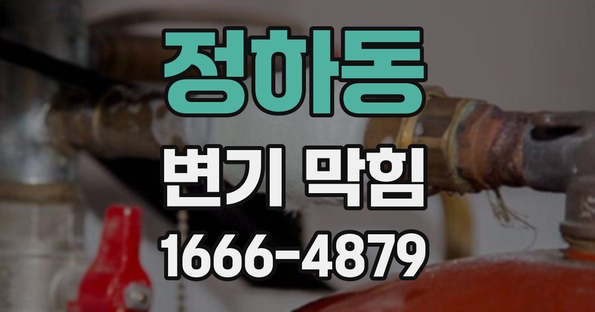 정하동 변기 막힘