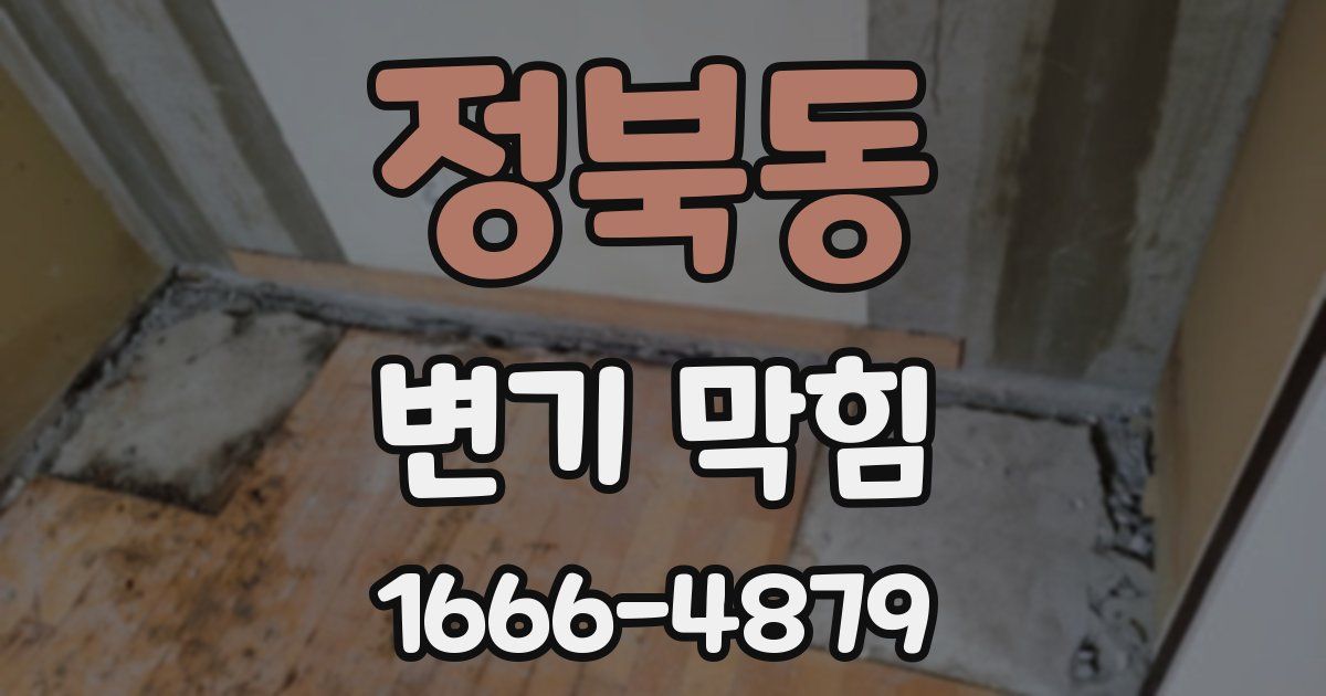 정북동 변기 막힘