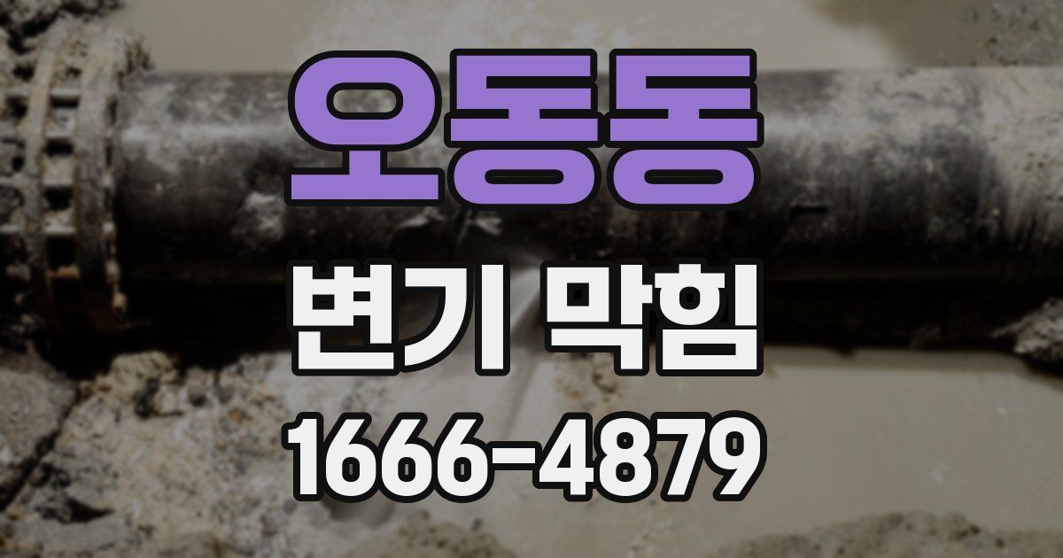 오동동 변기 막힘