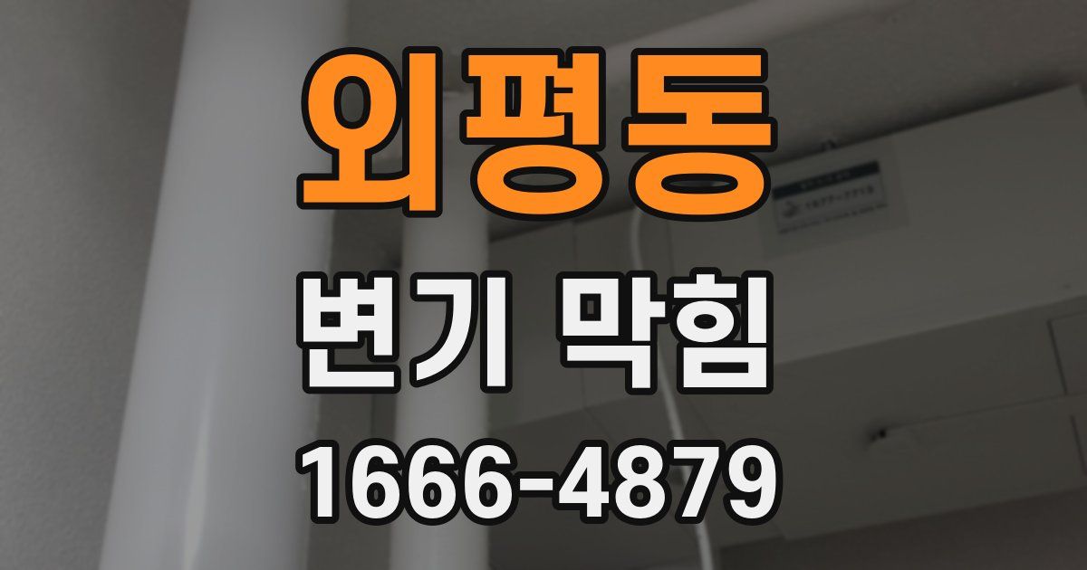 외평동 변기 막힘