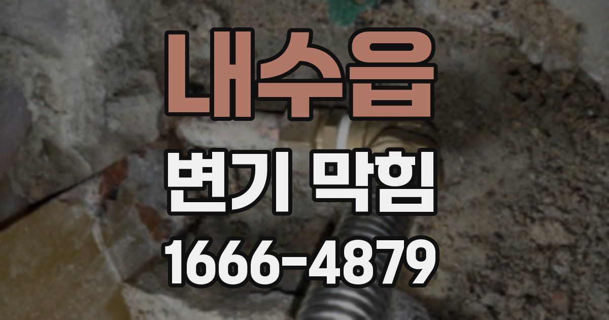 내수읍 변기 막힘