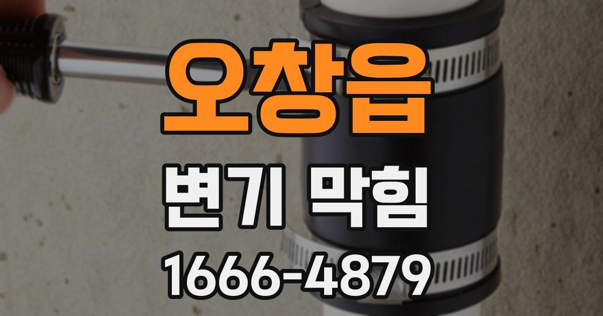 오창읍 변기 막힘