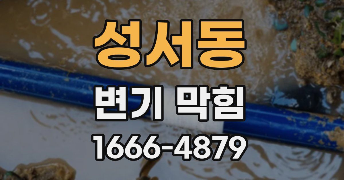 성서동 변기 막힘