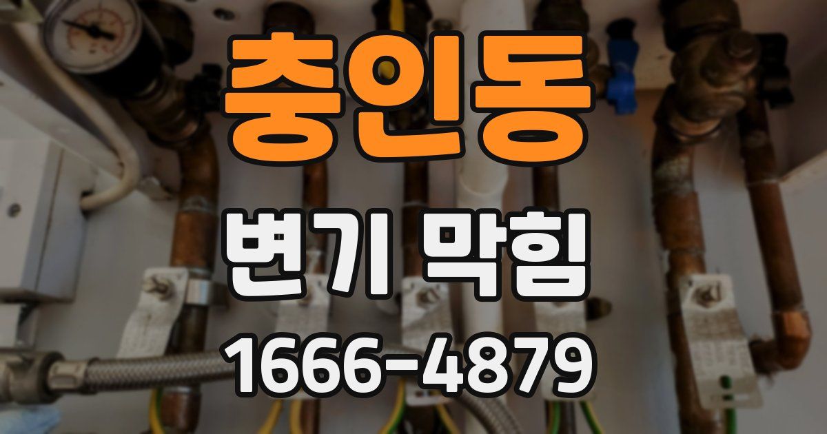 충인동 변기 막힘