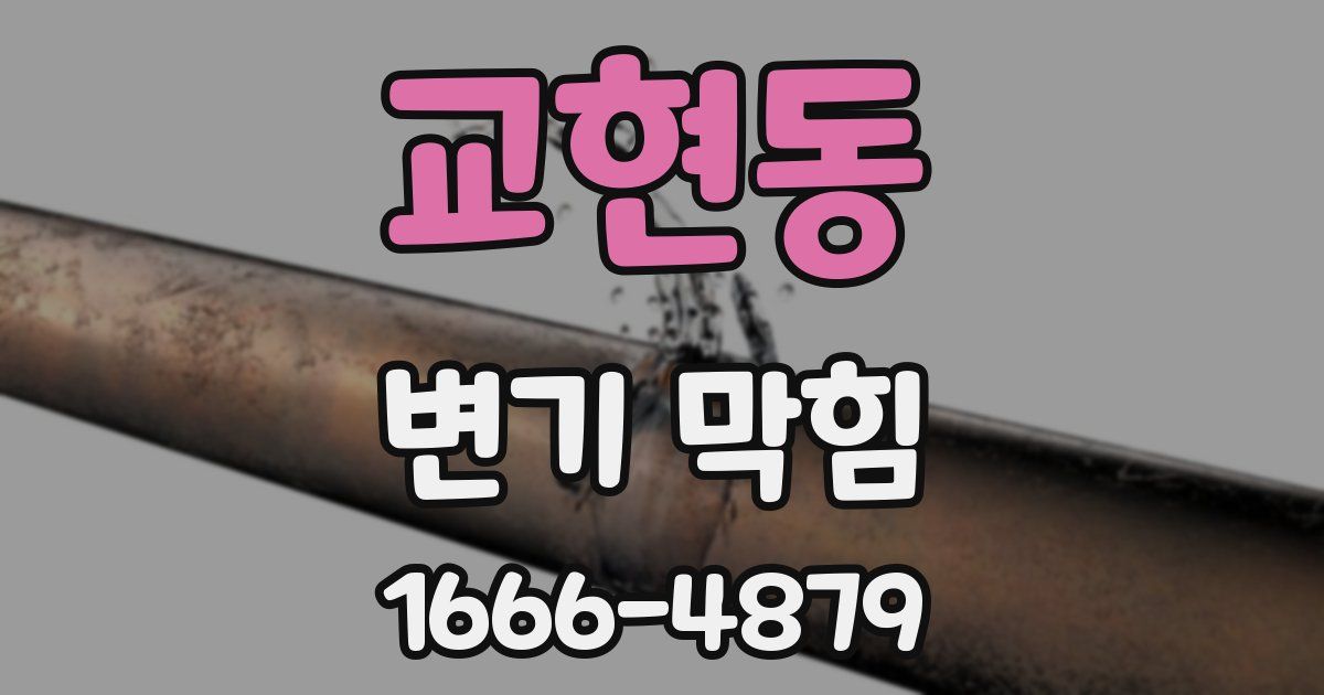 교현동 변기 막힘