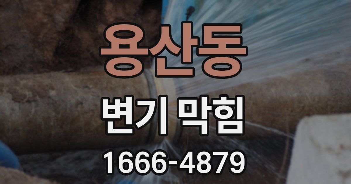 용산동 변기 막힘