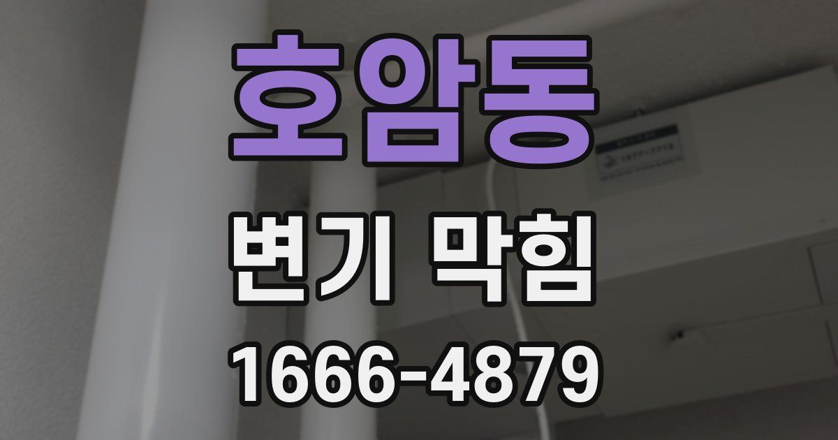 호암동 변기 막힘