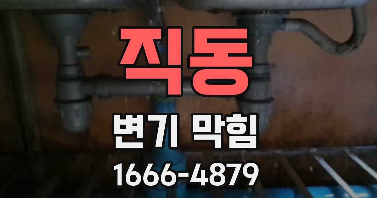 직동 변기 막힘