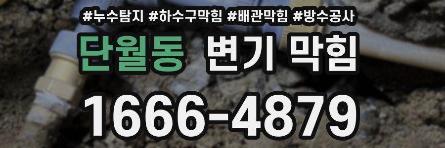 단월동 변기 막힘