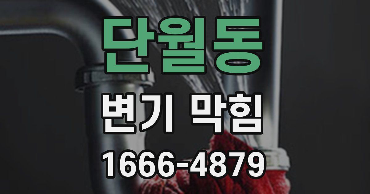 단월동 변기 막힘