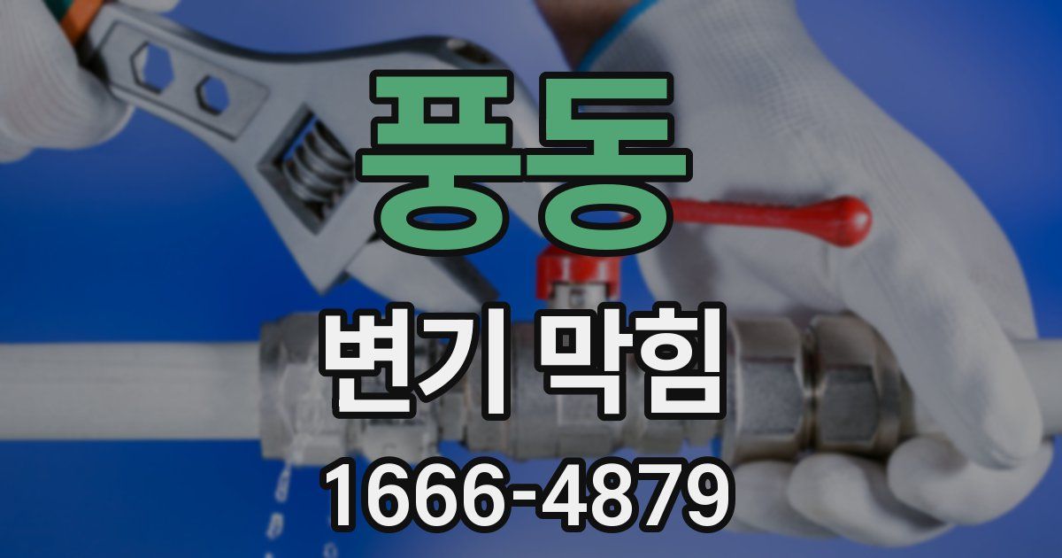 풍동 변기 막힘