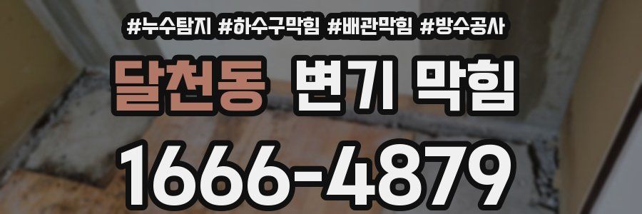 달천동 변기 막힘