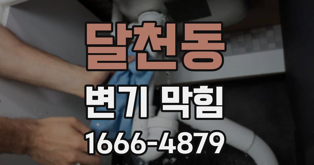 달천동 변기 막힘