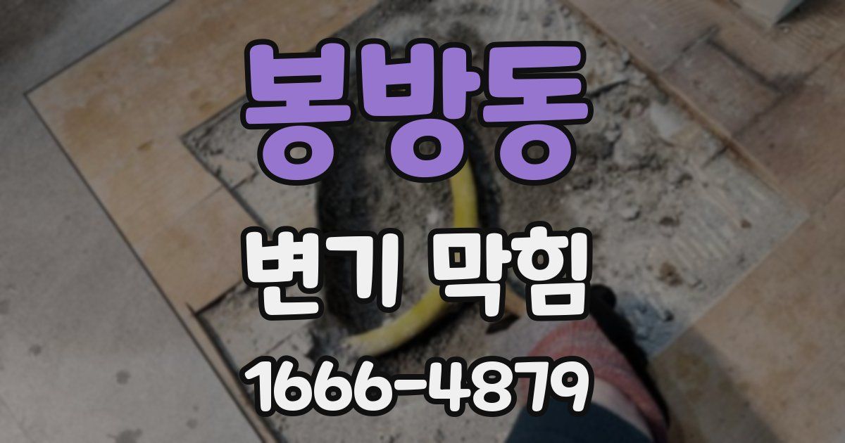 봉방동 변기 막힘