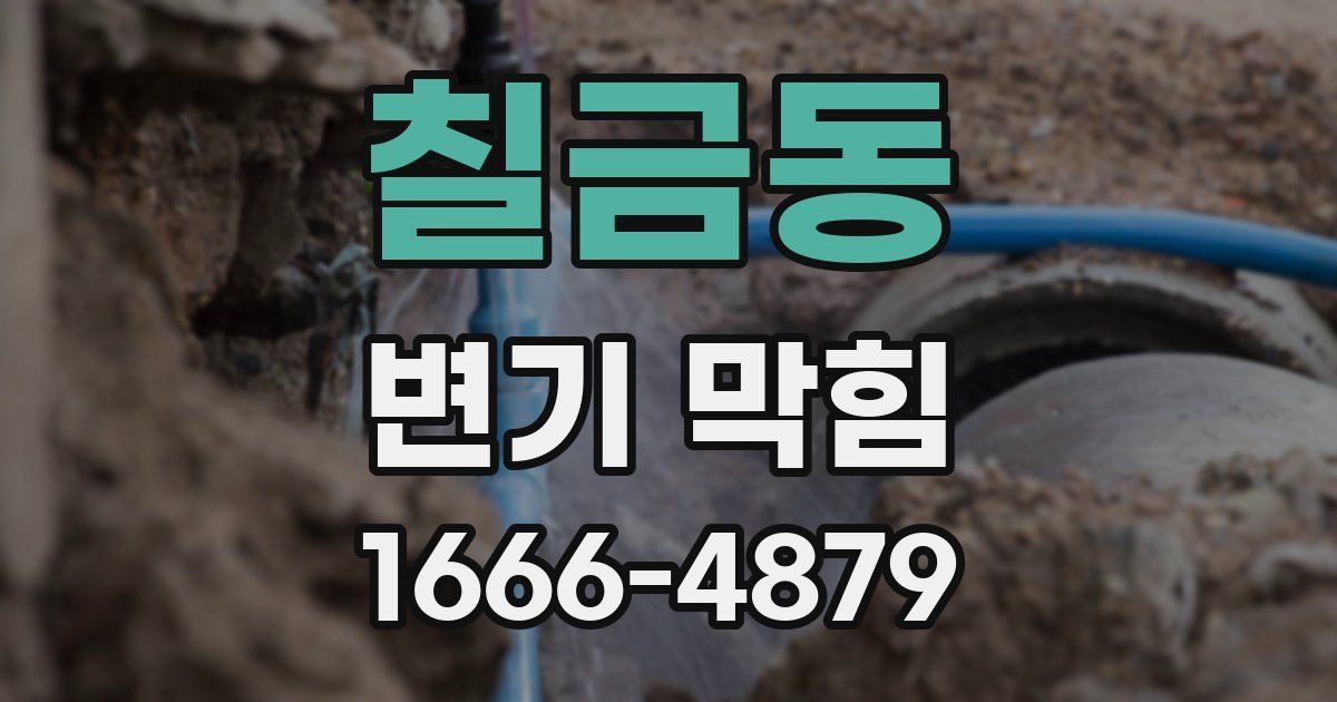 칠금동 변기 막힘