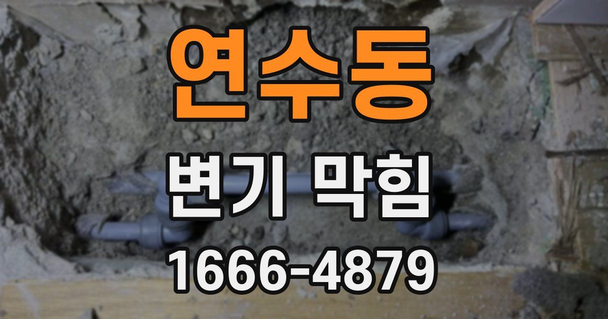 연수동 변기 막힘