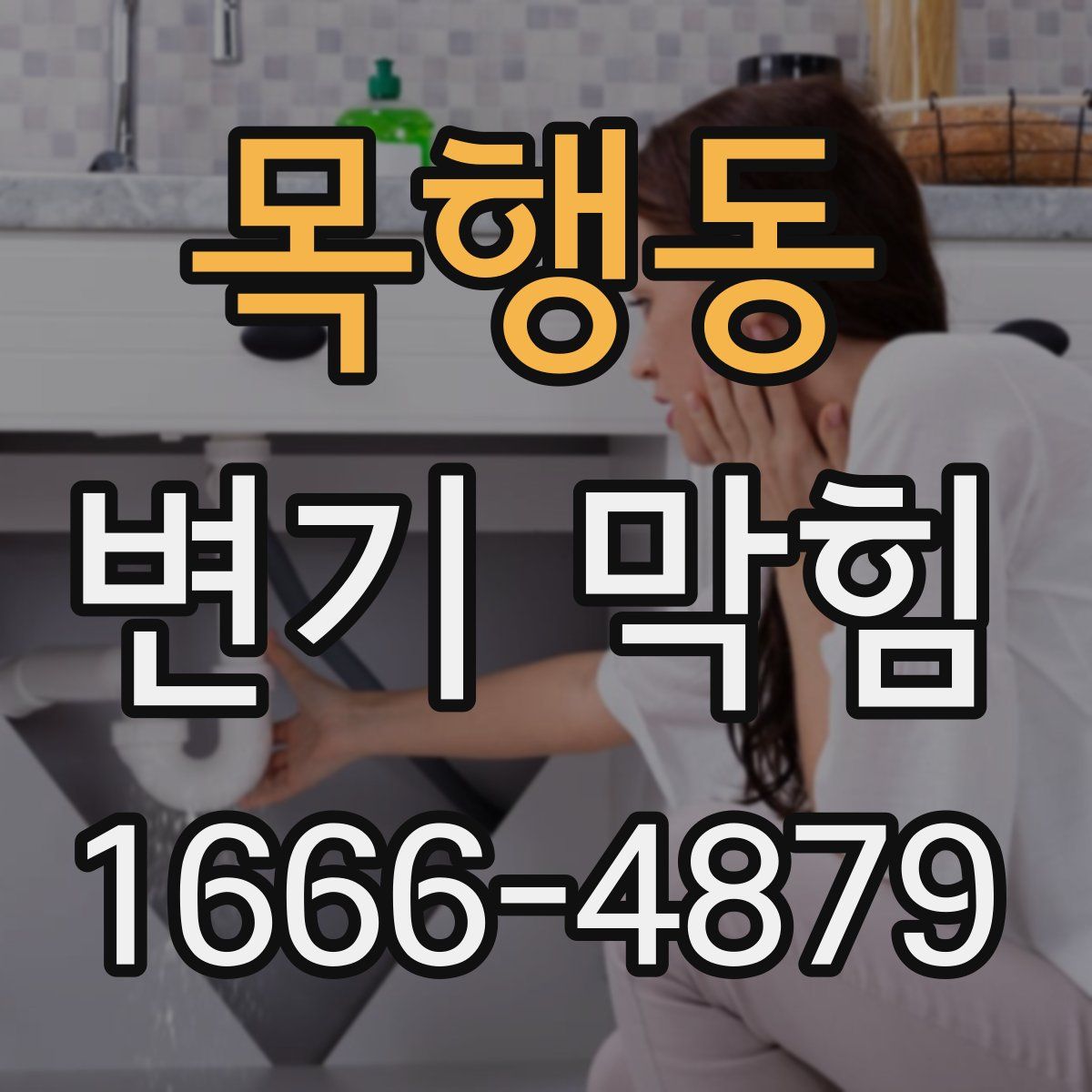 목행동 변기 막힘