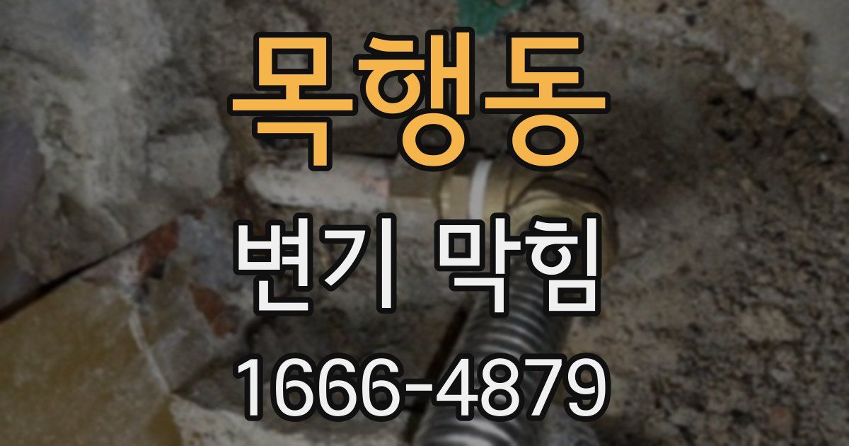 목행동 변기 막힘