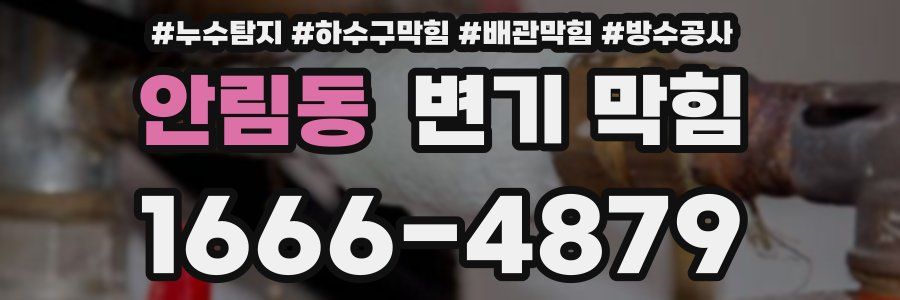 안림동 변기 막힘