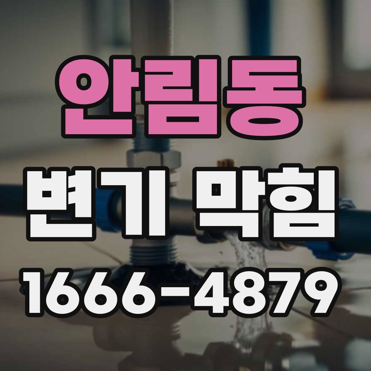 안림동 변기 막힘