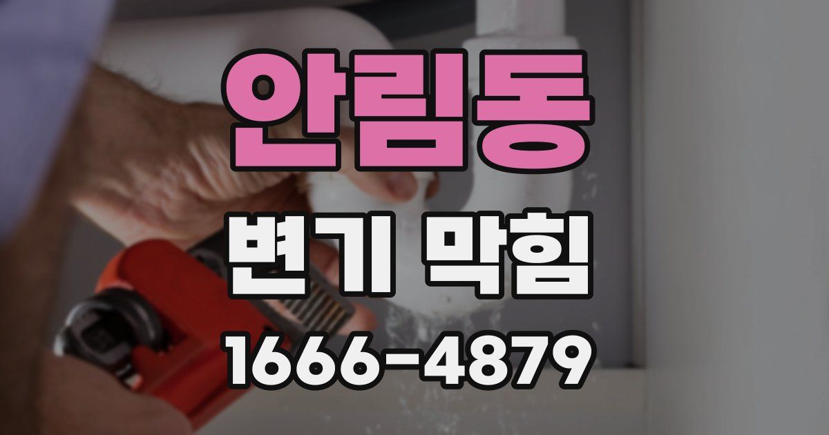 안림동 변기 막힘