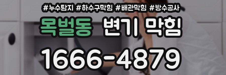 목벌동 변기 막힘