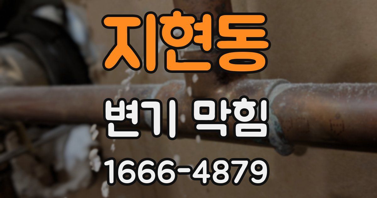 지현동 변기 막힘