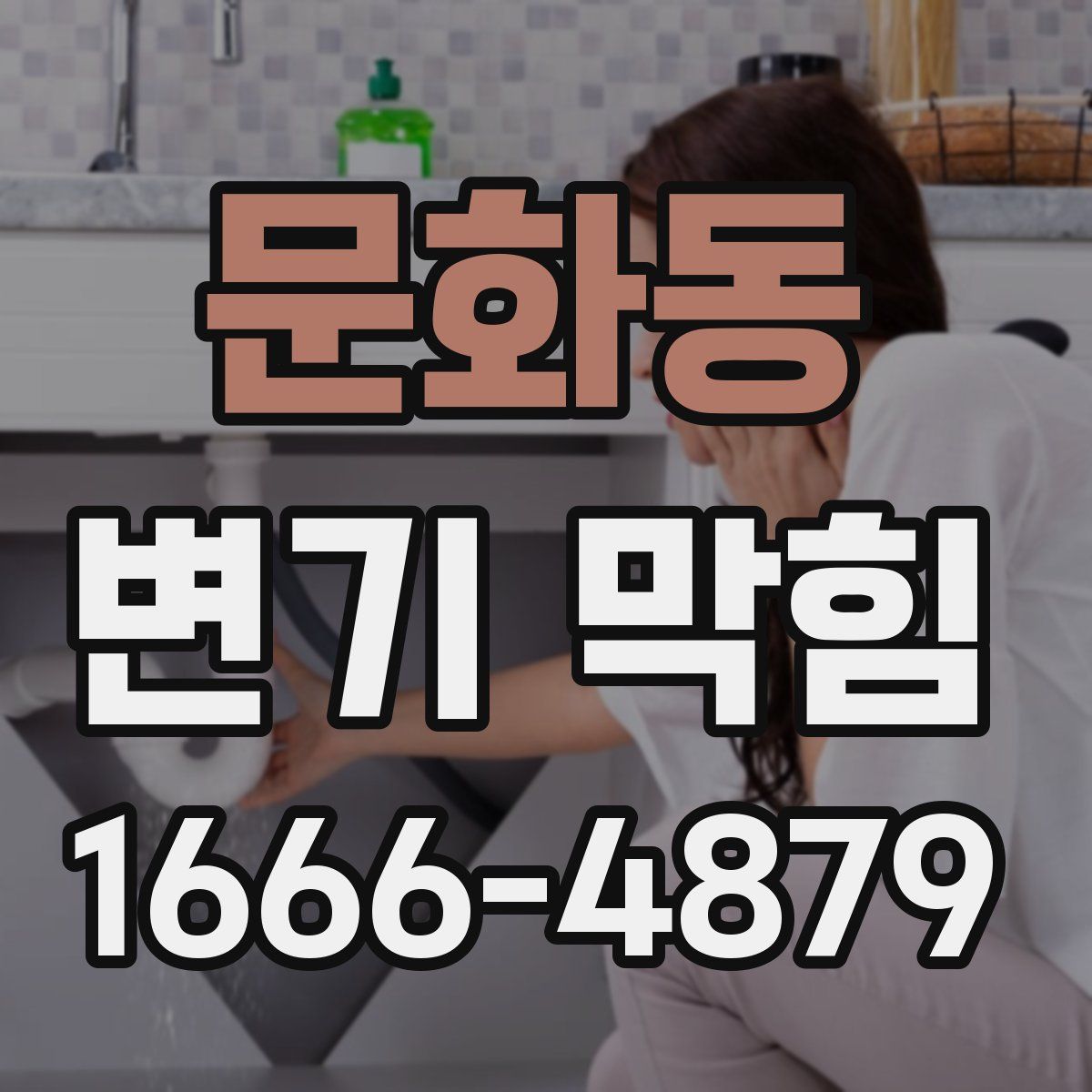 문화동 변기 막힘