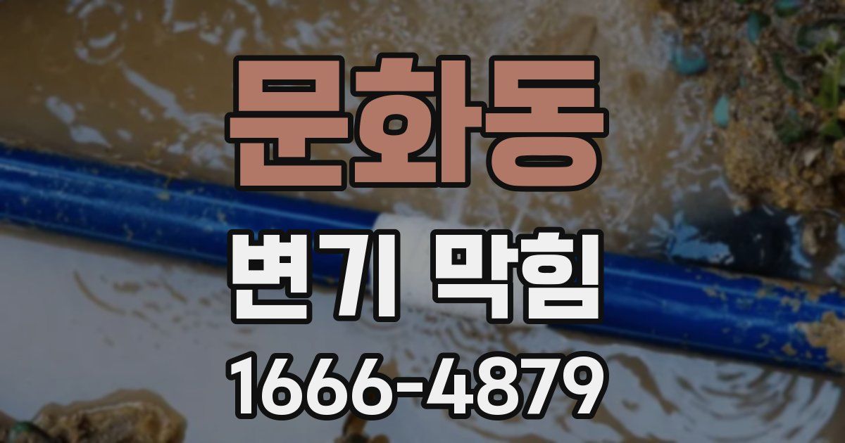 문화동 변기 막힘