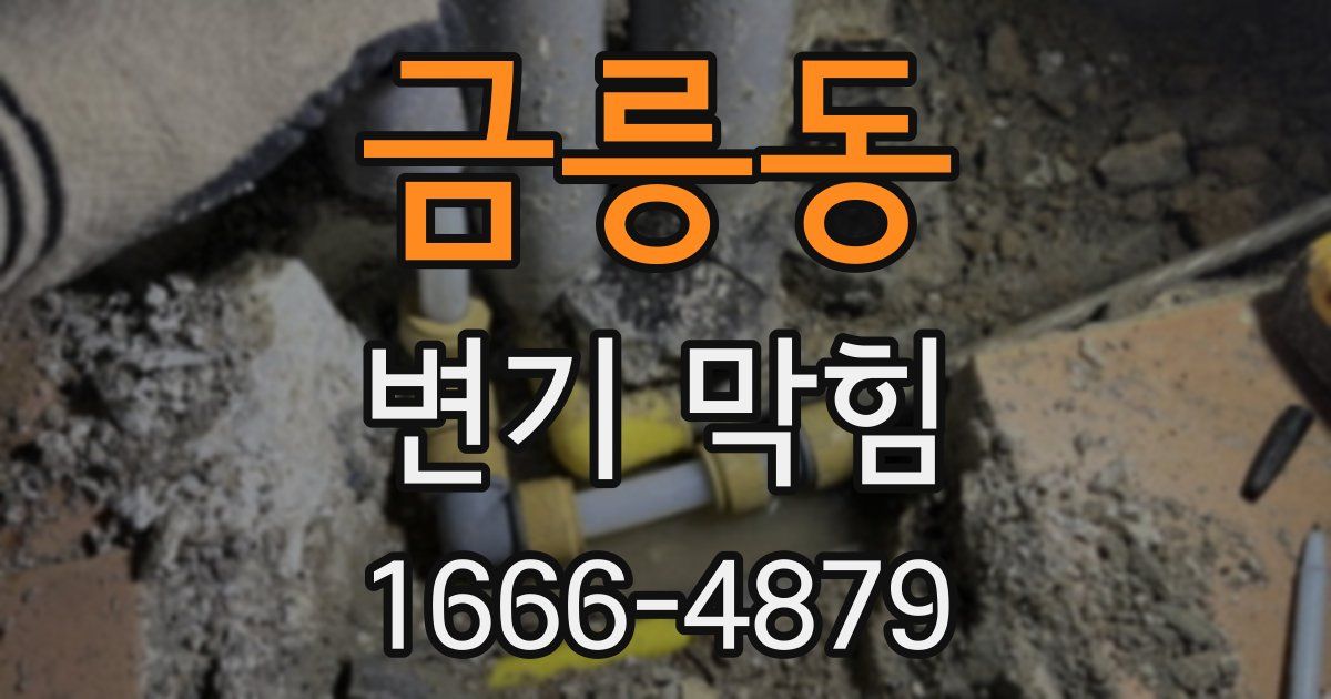 금릉동 변기 막힘