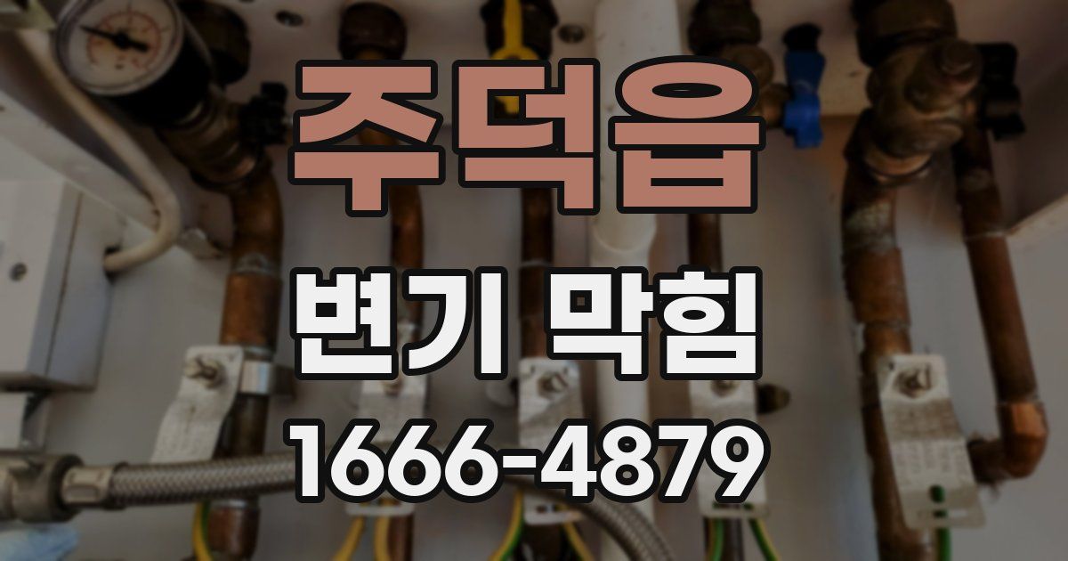 주덕읍 변기 막힘